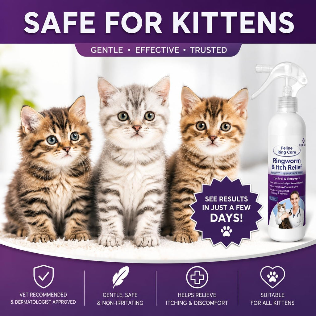 Feline Ring Care | Control & Help with Cat Ringworm, Mange, Dermatitis, Dog Paw Yeast. Also works on Dogs, Hamsters, Guinea Pigs, Rabbits, etc. 8 oz Ready to Use Spray for Cats and Itch Relief