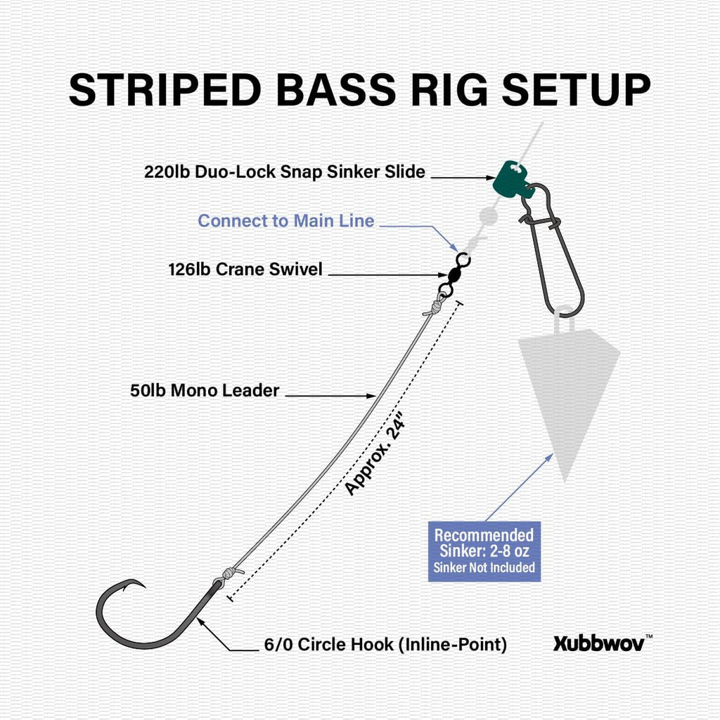 Striped Bass Rigs, 6-Pack, 6/0 Inline Circle Hook