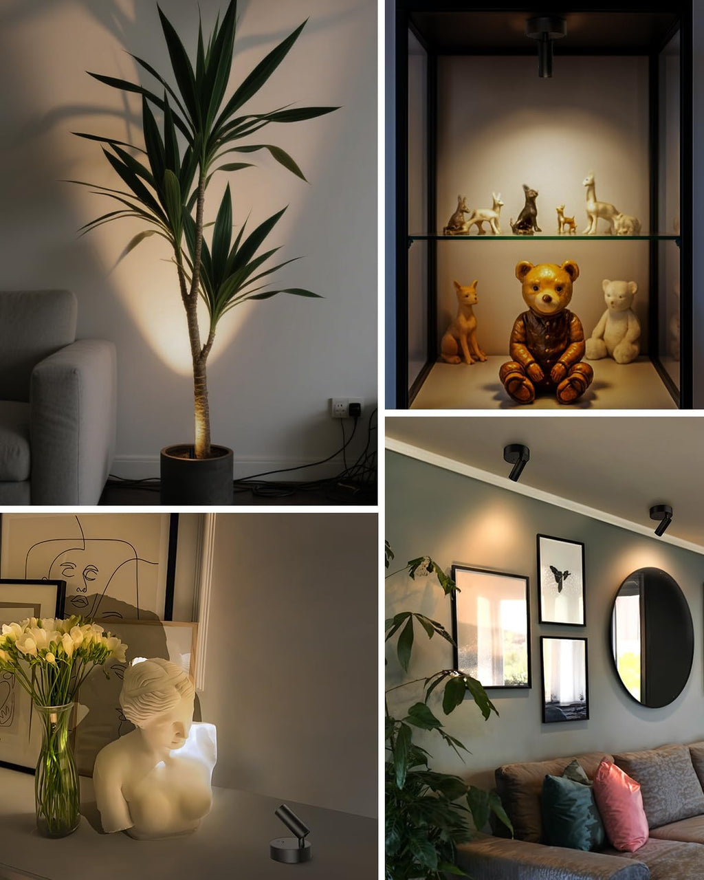 Spotlights Indoor with Remote, 3000Mah Rechargeable Wireless Plant Light