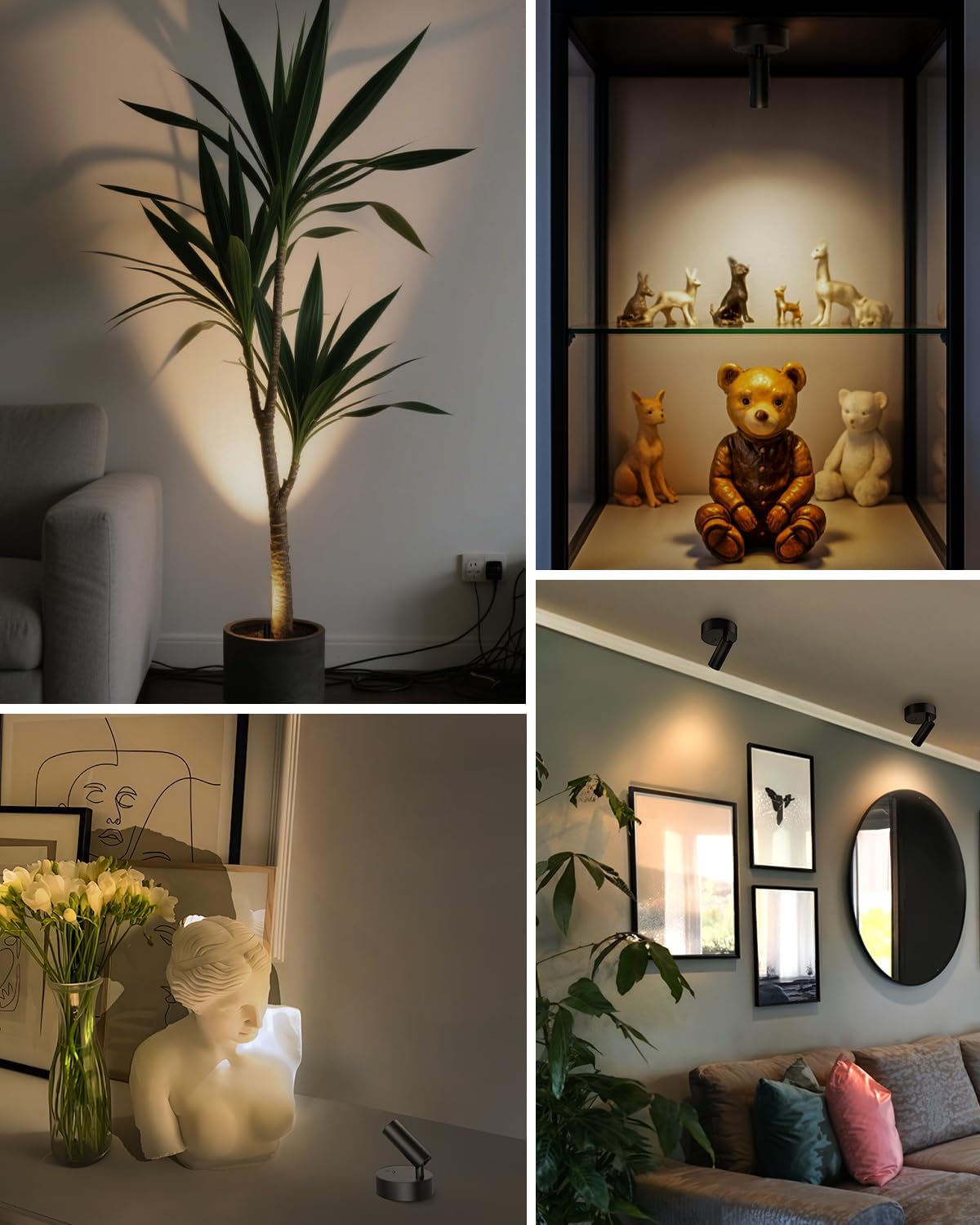 Spotlights Indoor with Remote, 3000Mah Rechargeable Wireless Plant Light