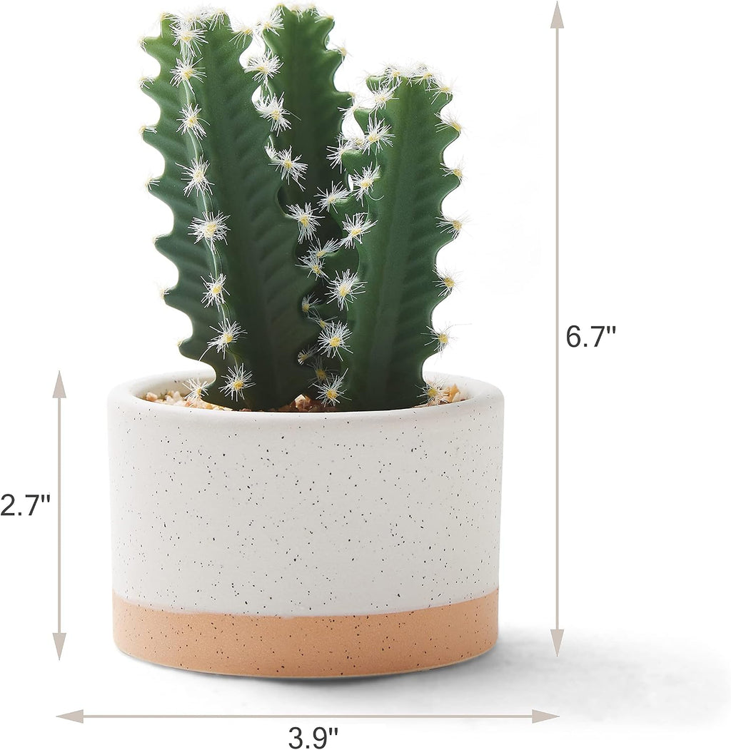 Artificial Succulent Plants in Ceramic Pots Set of 3