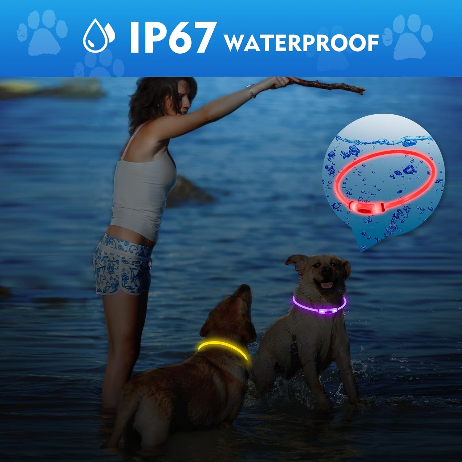 NOVKIN Lighted Dog Collar, Rechargeable 7 Colors Changing Light Up Dog Collar, IP67 Waterproof LED Collar Glow in the Dark, Make Pet Visible and Safety for Night Walking,Outdoor, for All Dogs