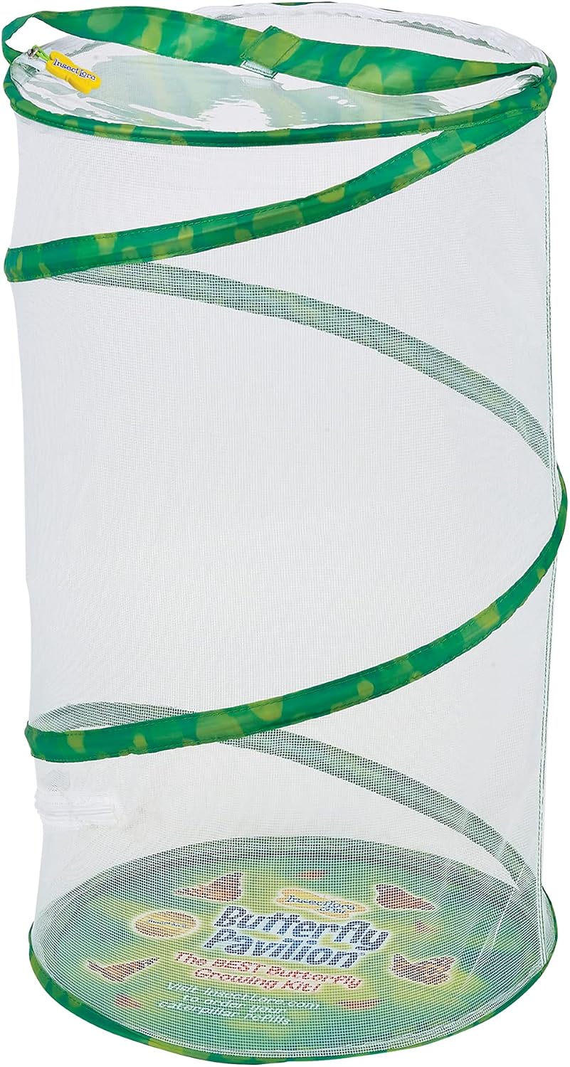 Insect Lore Butterfly Garden Habitat - Washable, Reusable, Folds Flat - Medium 12 Inch Butterfly Growing Habitat