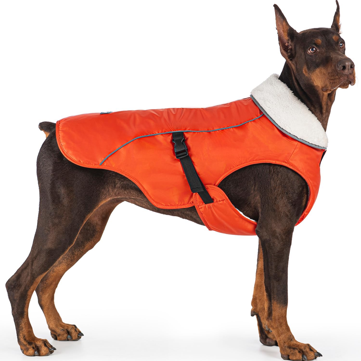 EMUST Dog Jacket, Windproof Polyester, Warm Fleece Lined, Reflective, New Blue, S