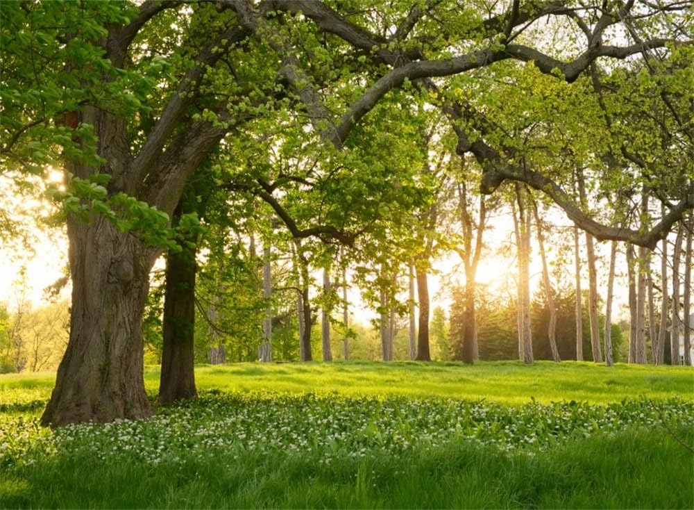 Leowefowa 5x3ft Spring Backdrop Rural Forest Trees Backdrops for Photography Blooming Flowers Green Grassland Nature Vinyl Photo Background Kids Adults Outdoor Travel Portraits Studio Props