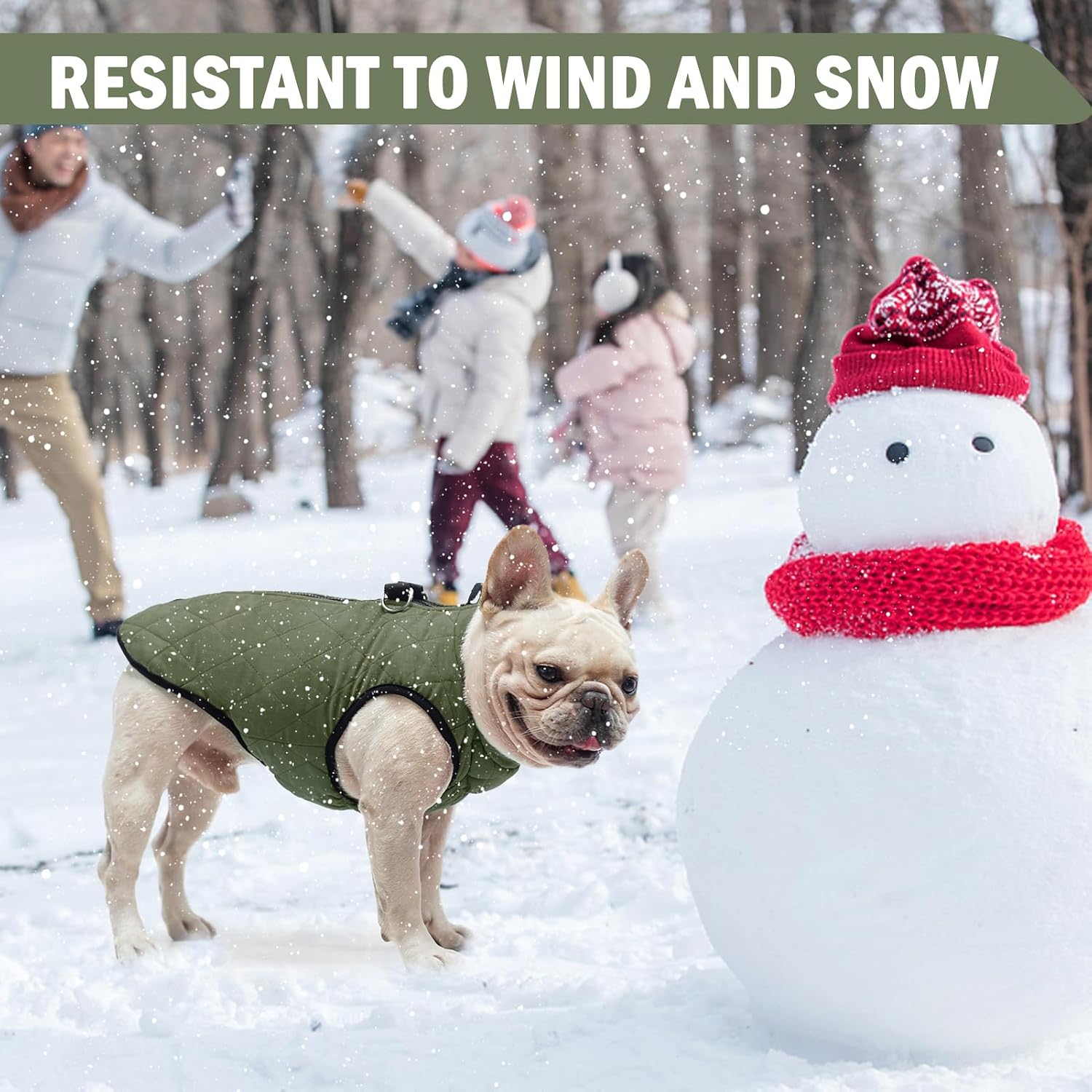SCENEREAL Winter Dog Vest Coat with Harness Built in