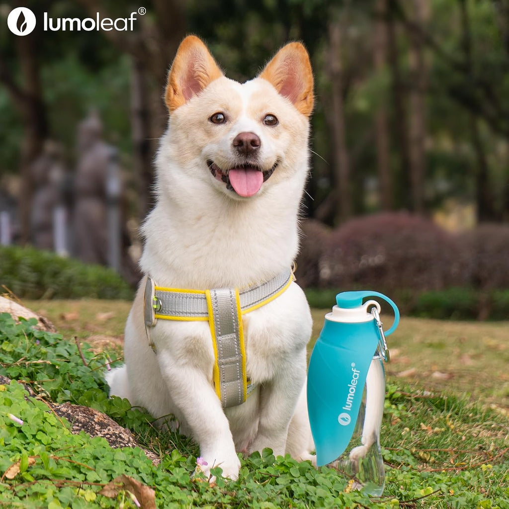 LumoLeaf Dog Water Bottle for Walking, Portable Pet Water Dispenser with Foldable Leaf Bowl – Lightweight Travel Bottle for Small & Medium Dogs, 20 fl oz