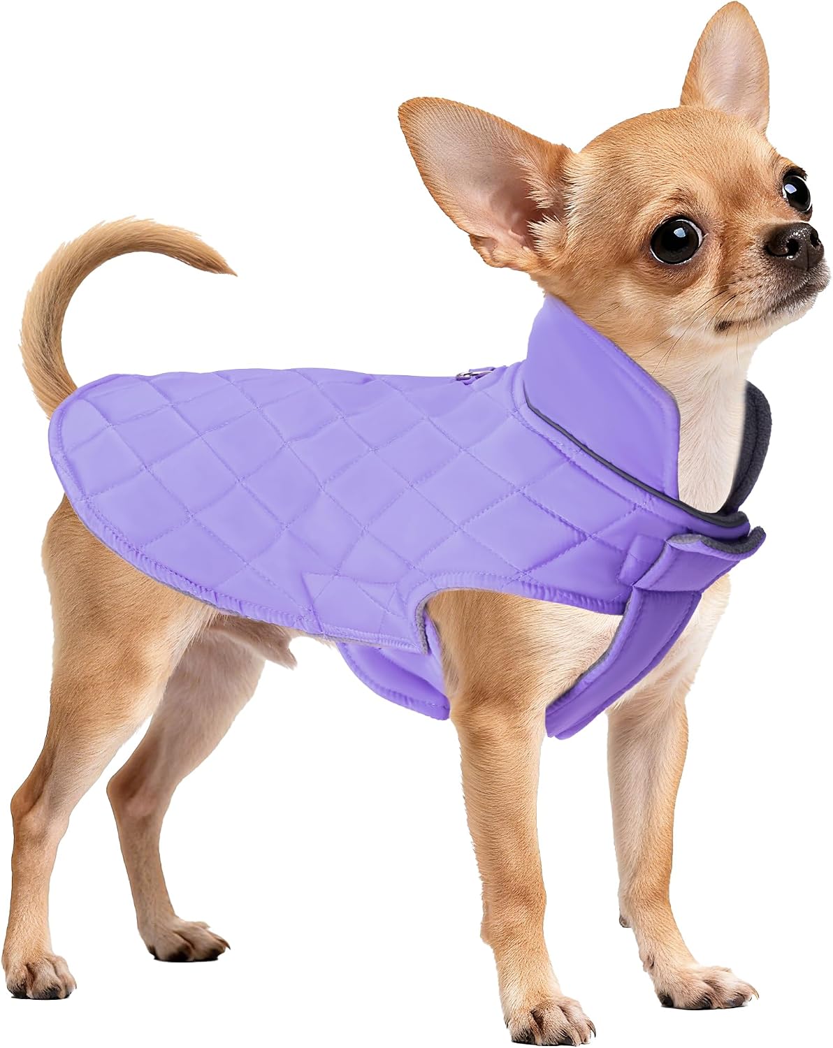 Mile High Life Dog Warm Coat, Small Dog Winter Jacket Windproof Water Resistant Cold Weather Coats Cozy Snow Jacket Vest for Puppies (Purple, Medium Chest 17.3")