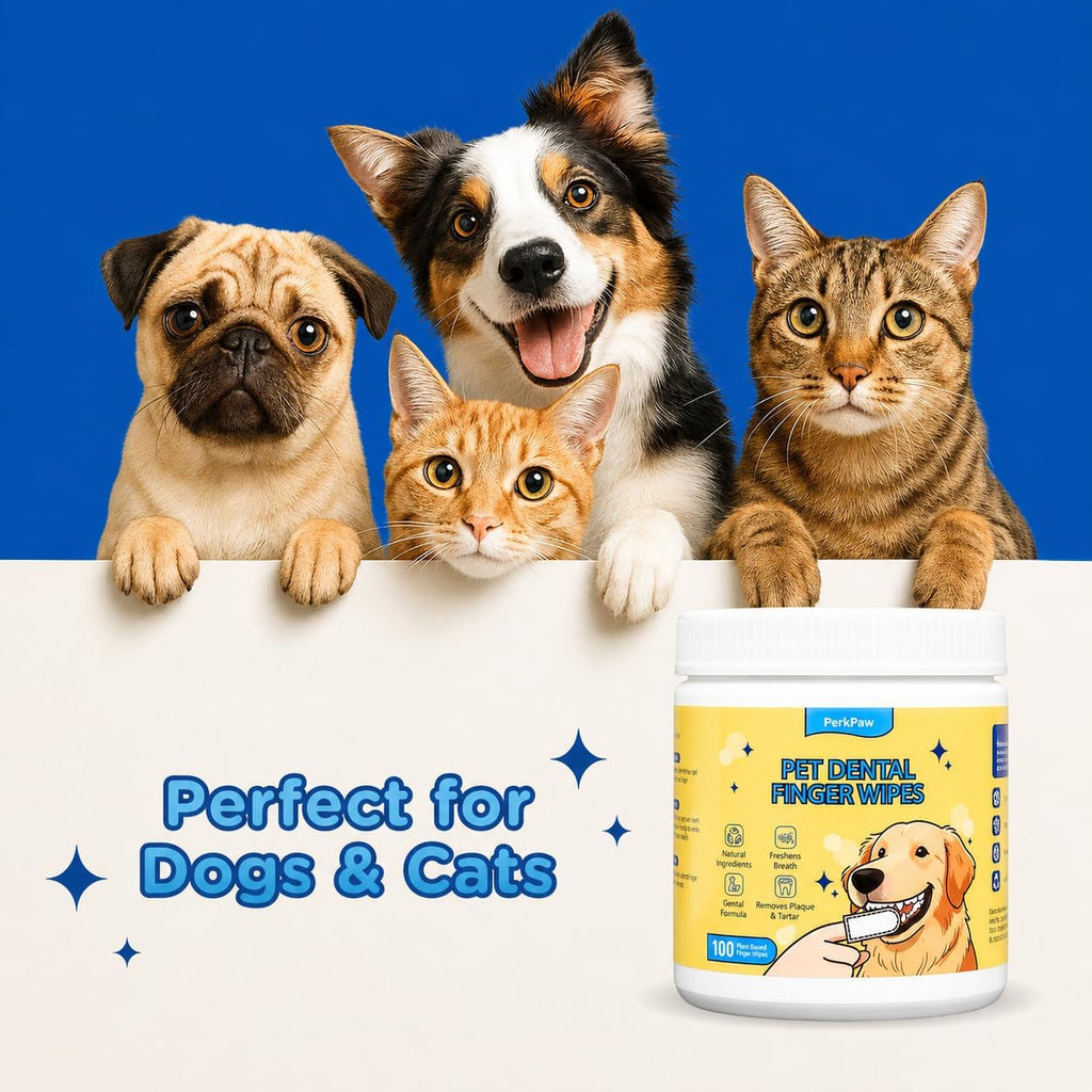 Pet Dental Finger Wipes for Dogs & Cats, 100 Count Pet Teeth Cleaning Wipes, Textured Finger Toothbrush Wipes for Fresh Breath, Plaque & Tartar Care, Gentle No-Rinse Oral Care