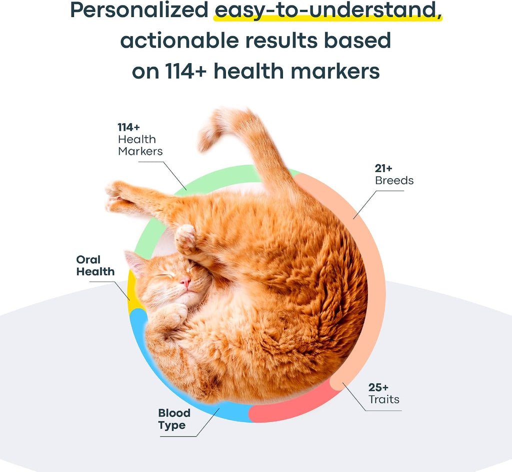 Basepaws Cat DNA Test Kit, Breed, Health & Dental Insights (Pack of 2)