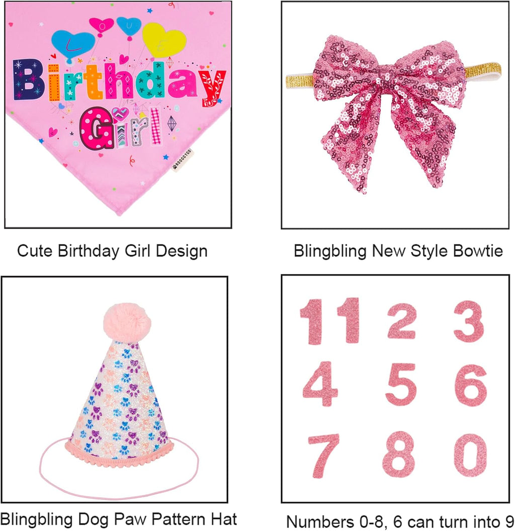 ADOGGYGO Dog Birthday Hat, Pink Birthday Girl Bandana Set, Small