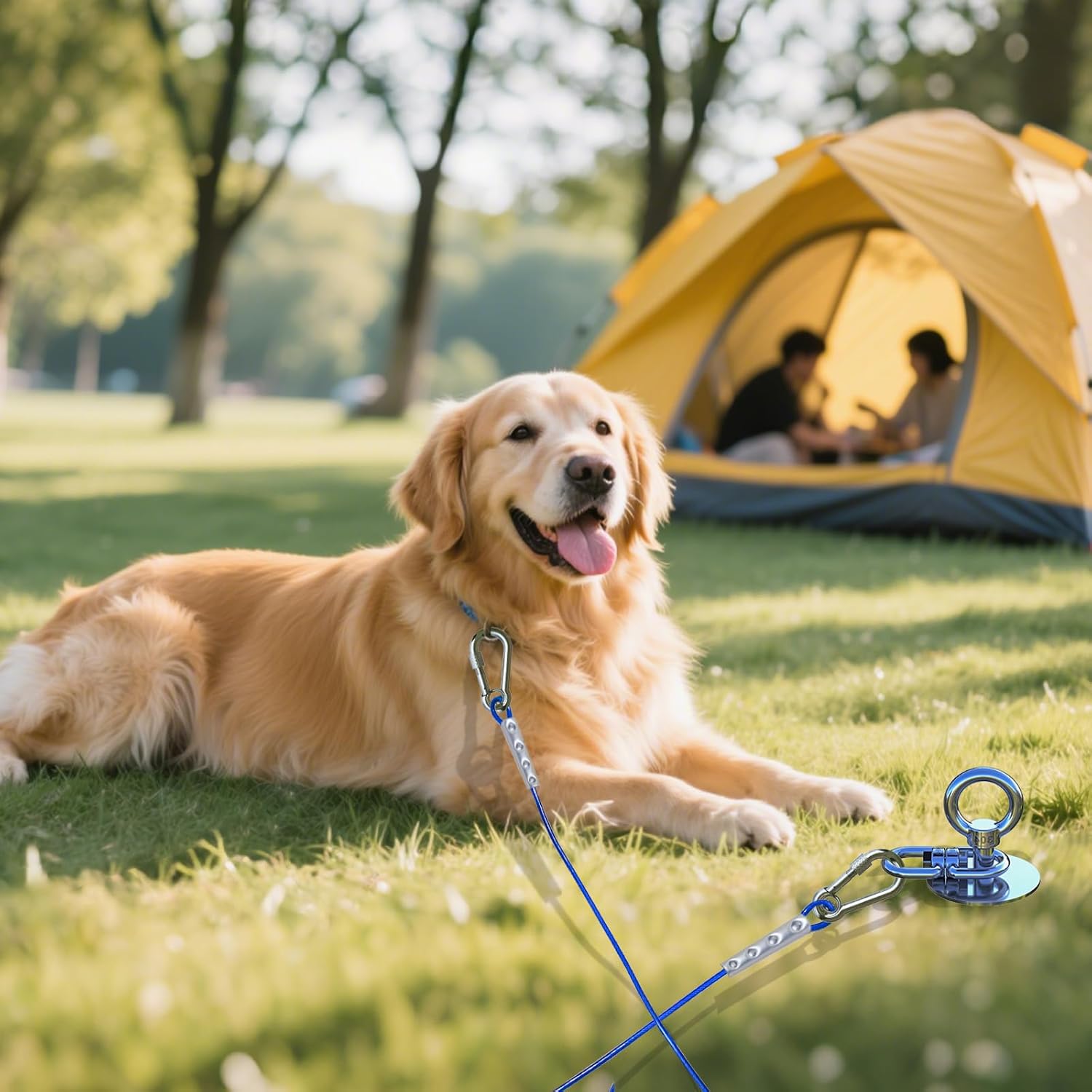 TOPKNOT Dog Tie Out Cable and Stake for Yard,with 2x15FT Heavy Duty Cables,360°Swivel Dog Run Anchor- No Tangle,Runner for Yard - Up to 200LBS,Ideal for Outdoor Camping