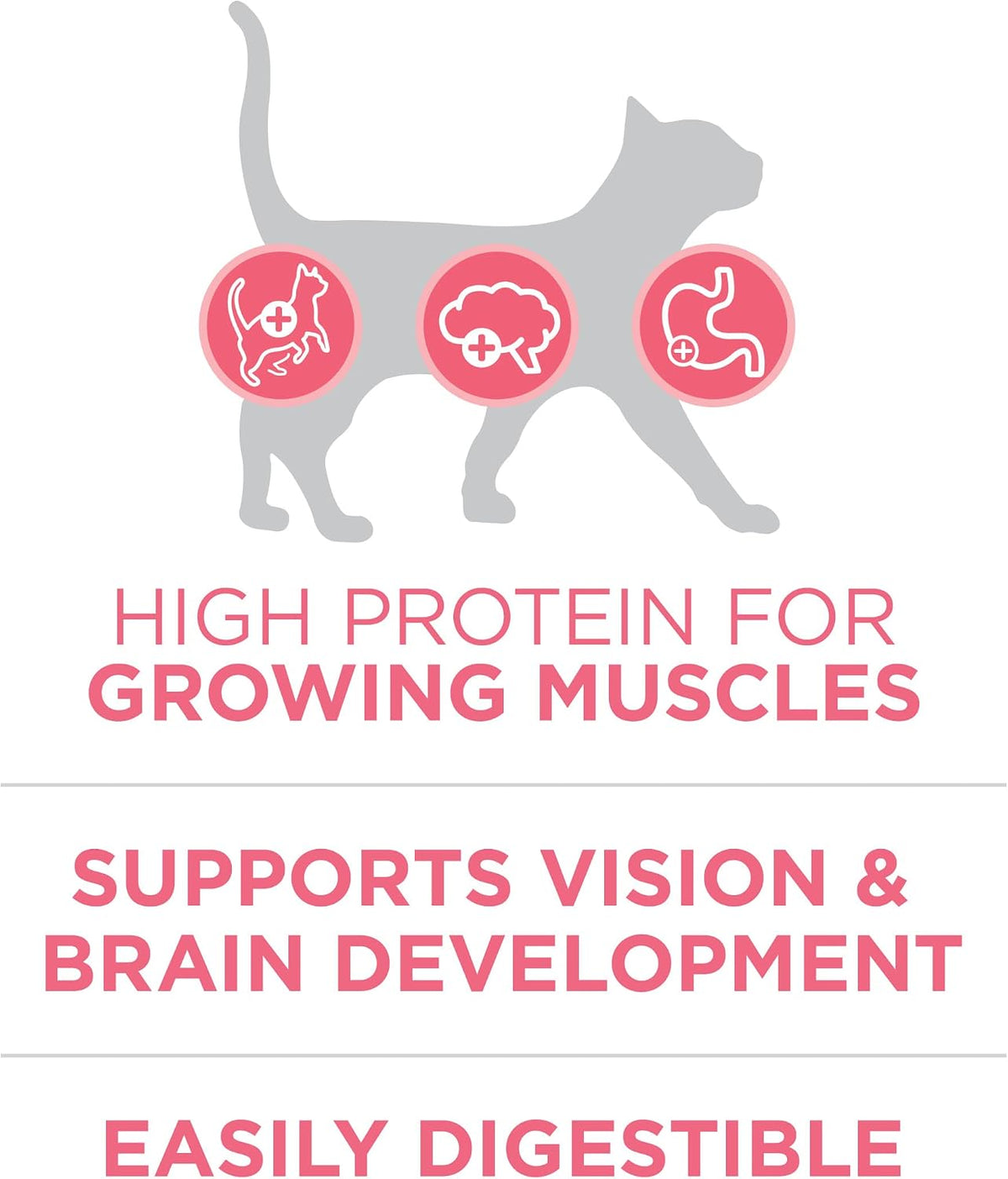 Purina ONE High Protein Natural Kitten Dry Cat Food, 3.5 lb Bag
