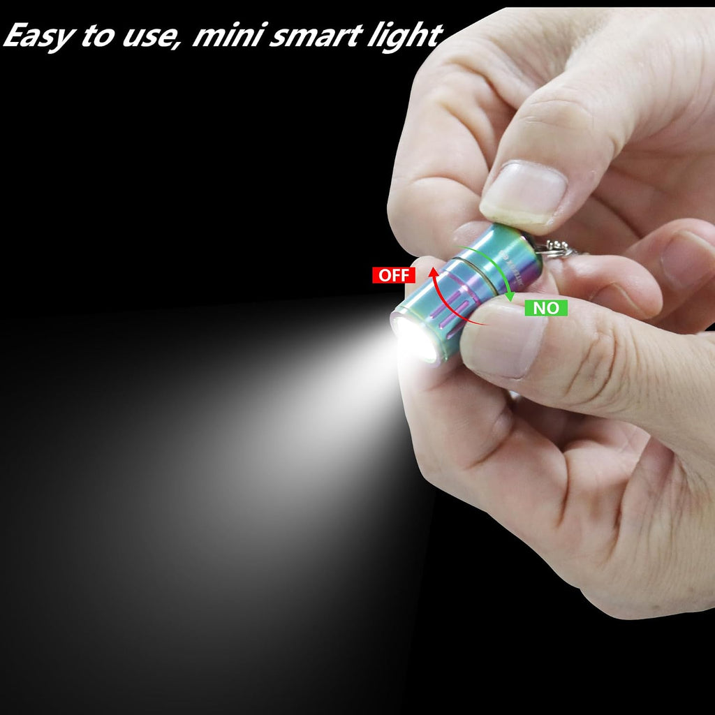 e3 Mini Small Bright Keychain Flashlight 100 lumens Long Lifetime Waterproof EDC Light for Everyday Dog Walk Sleeping Reading Nice Gift for Parents or Friends(Color Steel)
