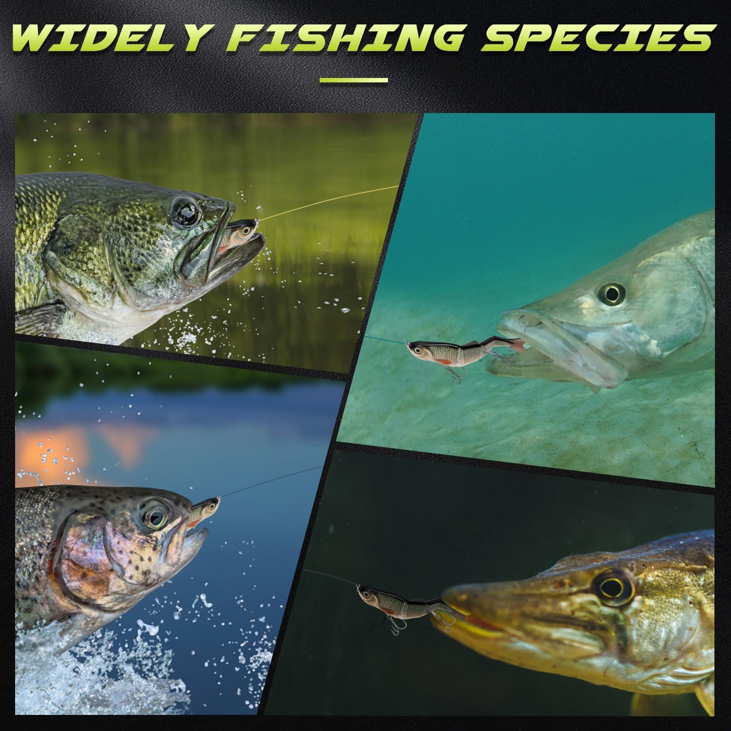 GOTOUR Jointed Swimbaits, Easy Catch Fishing Lures for Bass Trout Crappie