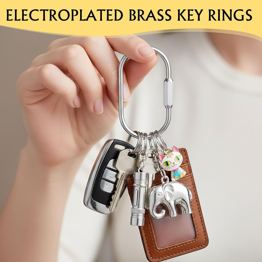 Tiezzi Gold Brass Key Rings, 10 Pack Keychain with 10 Flat Rings Carabiner Clip, Screw Lock Keys Organizer, Purse Bag Accessories Charms Holder for Handbags, Doll, Car Keys - Medium Size,Silver