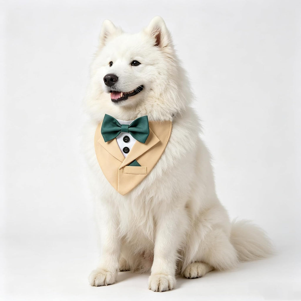 Yellow Dog Bandana with Green Bowtie, Formal Dog Collar Costume, Tuxedo Dog Collar for Wedding Engagement and Birthday (L)