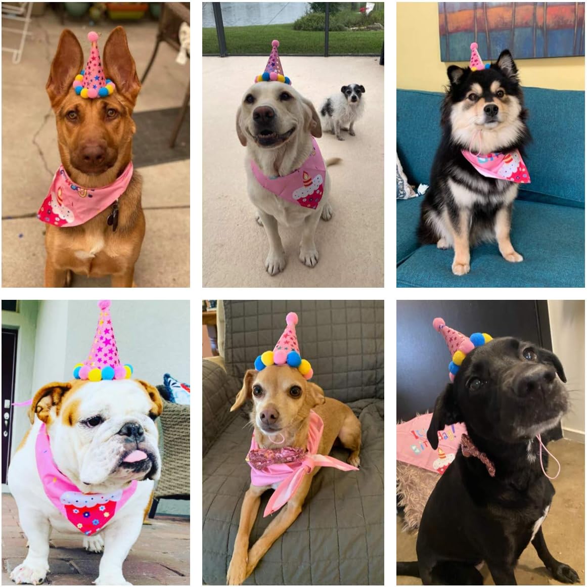 ADOGGYGO Dog Birthday Hat, It's My Birthday Girl Bandana, Pink, Large