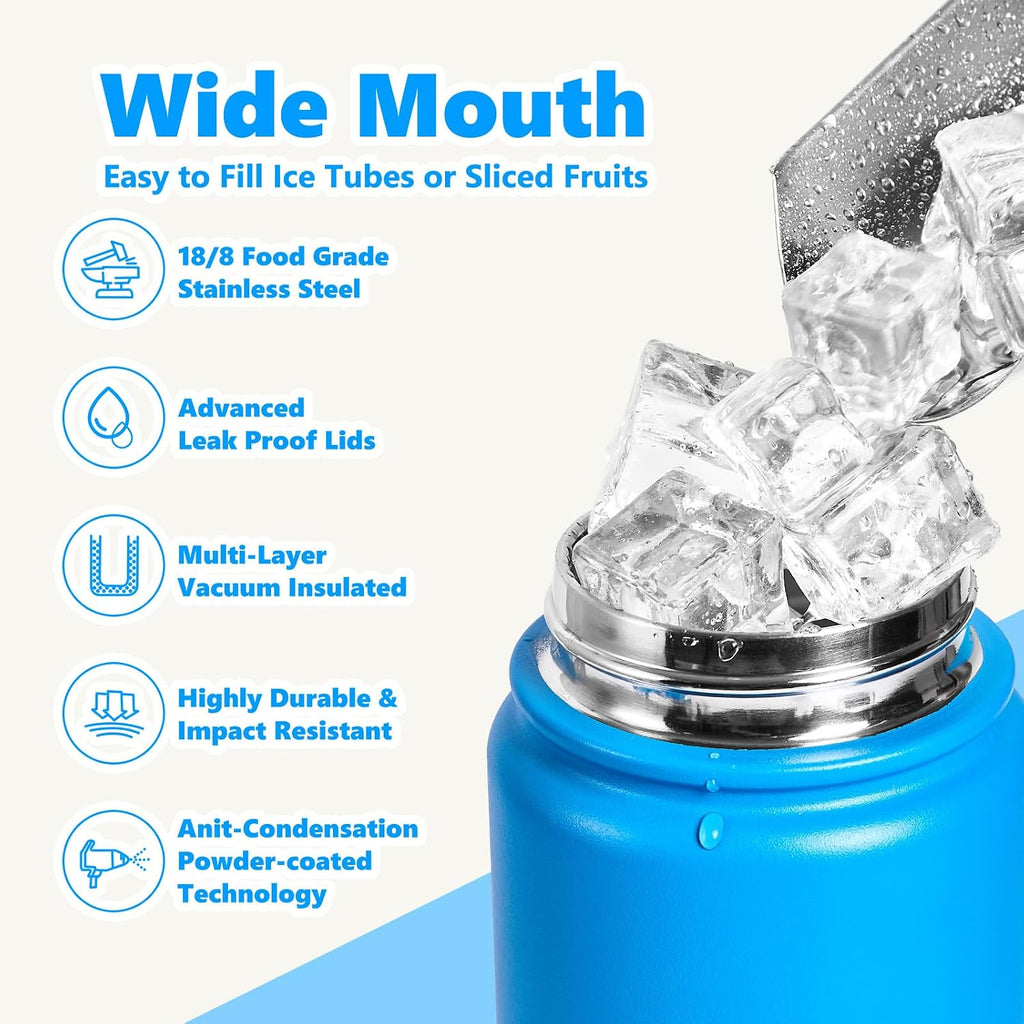 Insulated Water Bottle with Lid & Boot & Stickers, 24 oz