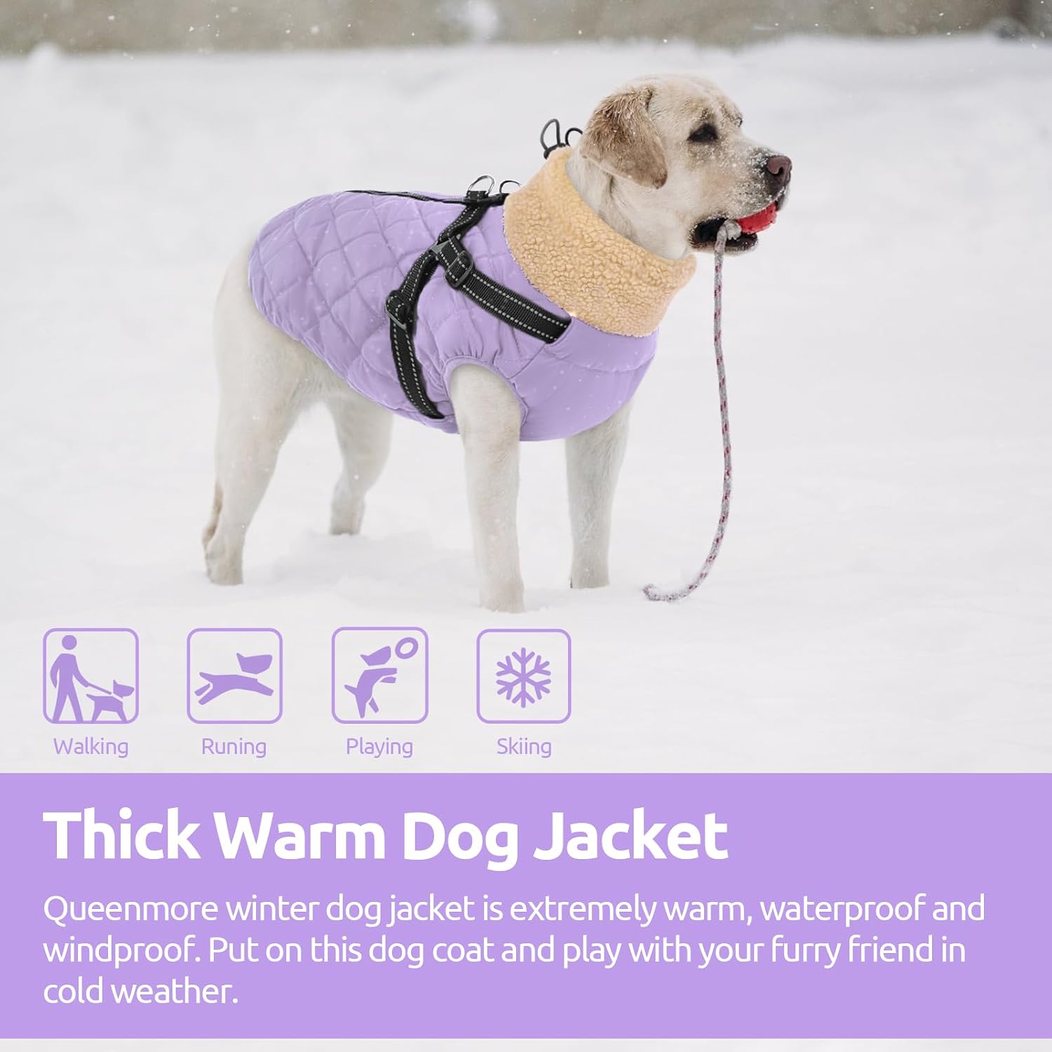 Queenmore Dog Winter Jacket Dog Coats for Large Dogs with Harness Built in
