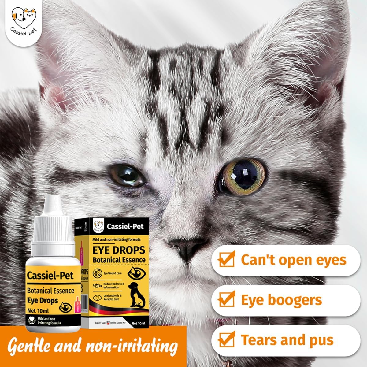 Eye Drops for Eye Infection Treatment, Soothe Infection Allergy, Relieve Dry Eyes & Red Eye，Eye Cleaner and Tear Stain Remover for Dogs and Cats | 10 ml 0.33 FL OZ (1 Bottle)