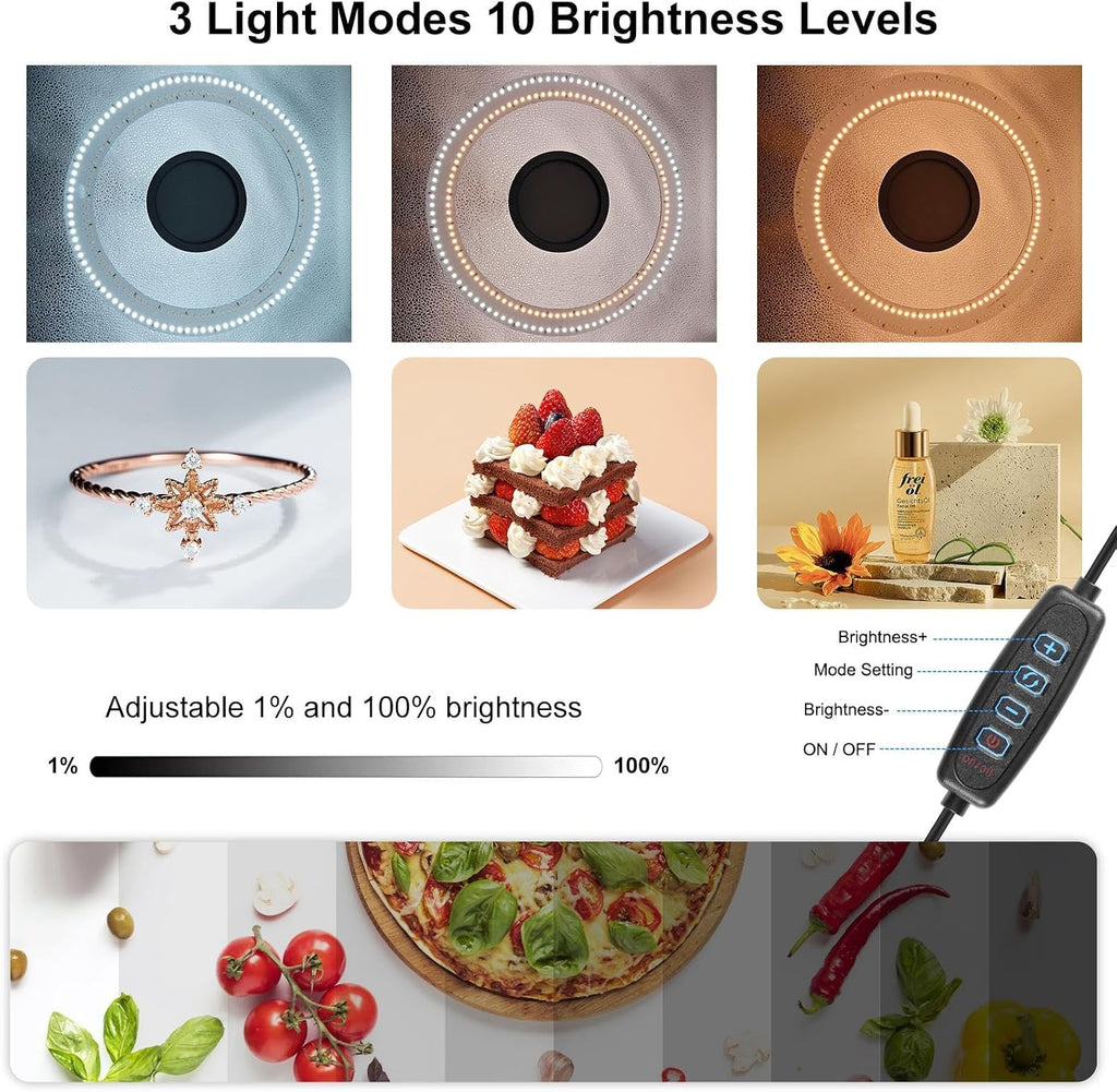 PULUZ Light Box Photography, 20x20 inch Portable Photo Studio Light Box, Professional Dimmable Quick Charge USB-C Photo Booth with 200 LED Lights & 12 Color Backdrops Photo Box for Product Photography