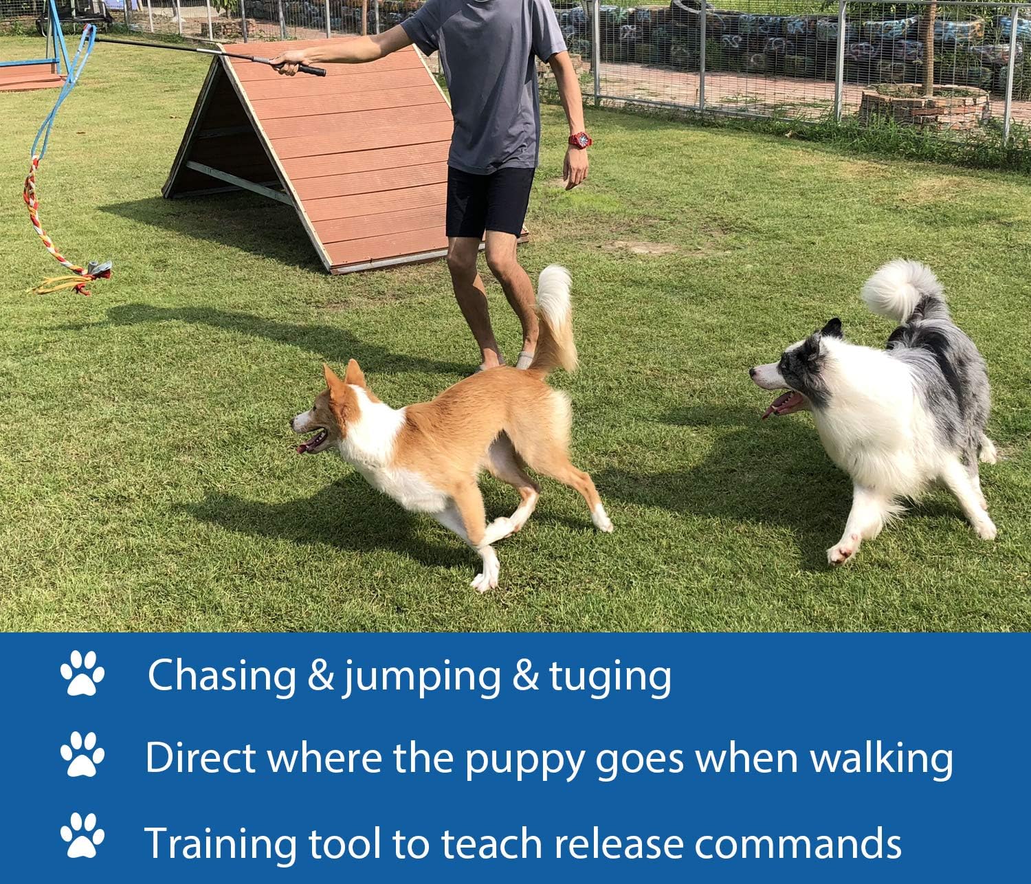 Interactive Flirt Pole Toy for Dogs Chase,Outdoor Exercise,Agility Training