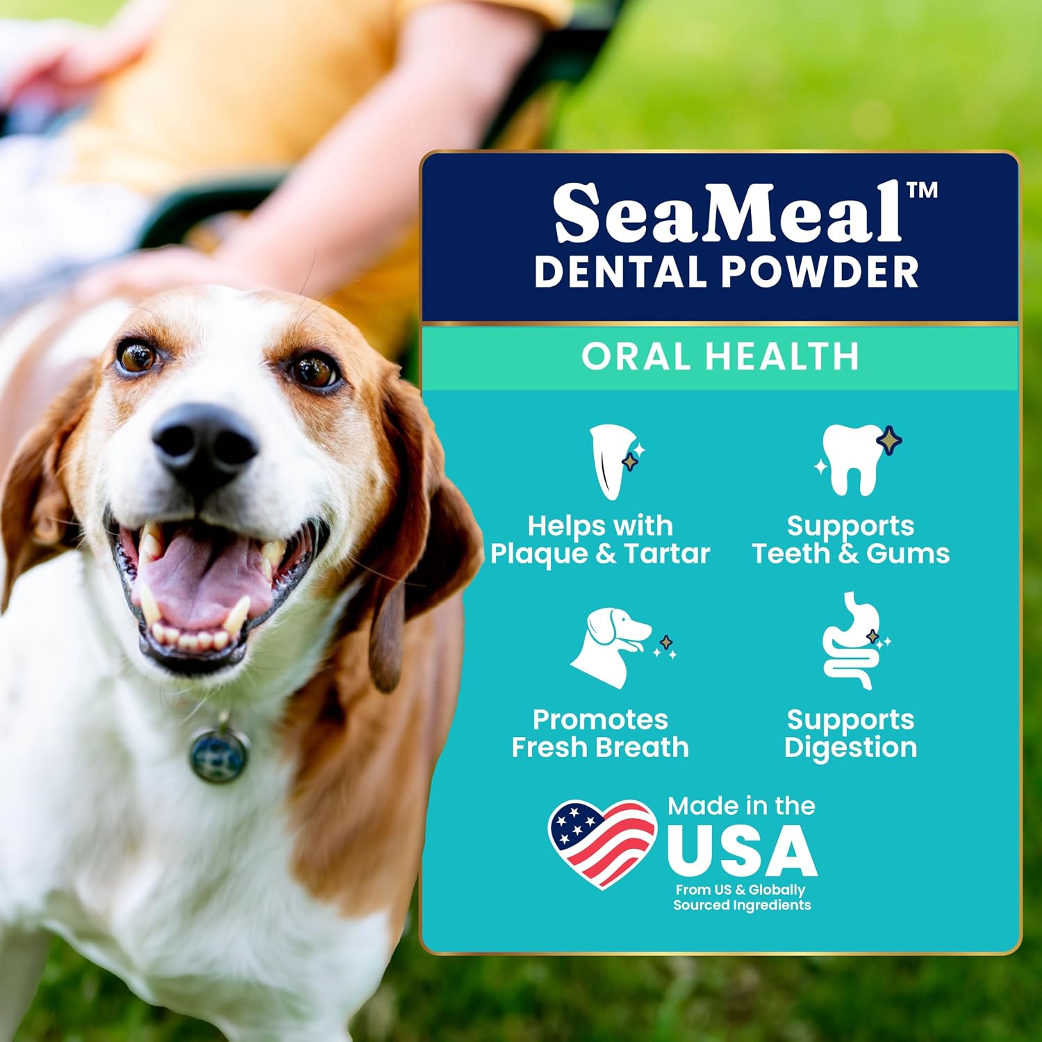 Solid Gold SeaMeal Dog Dental Powder – Plaque & Tartar Control, All Breeds