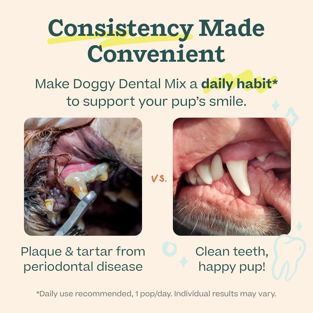 Woof Doggy Dental Pupsicle Mix - Dog Teeth Cleaning Powder for the Pupsicle - Long Lasting Postbiotic Dental Enzyme Mix to Support Oral Health for Dogs
