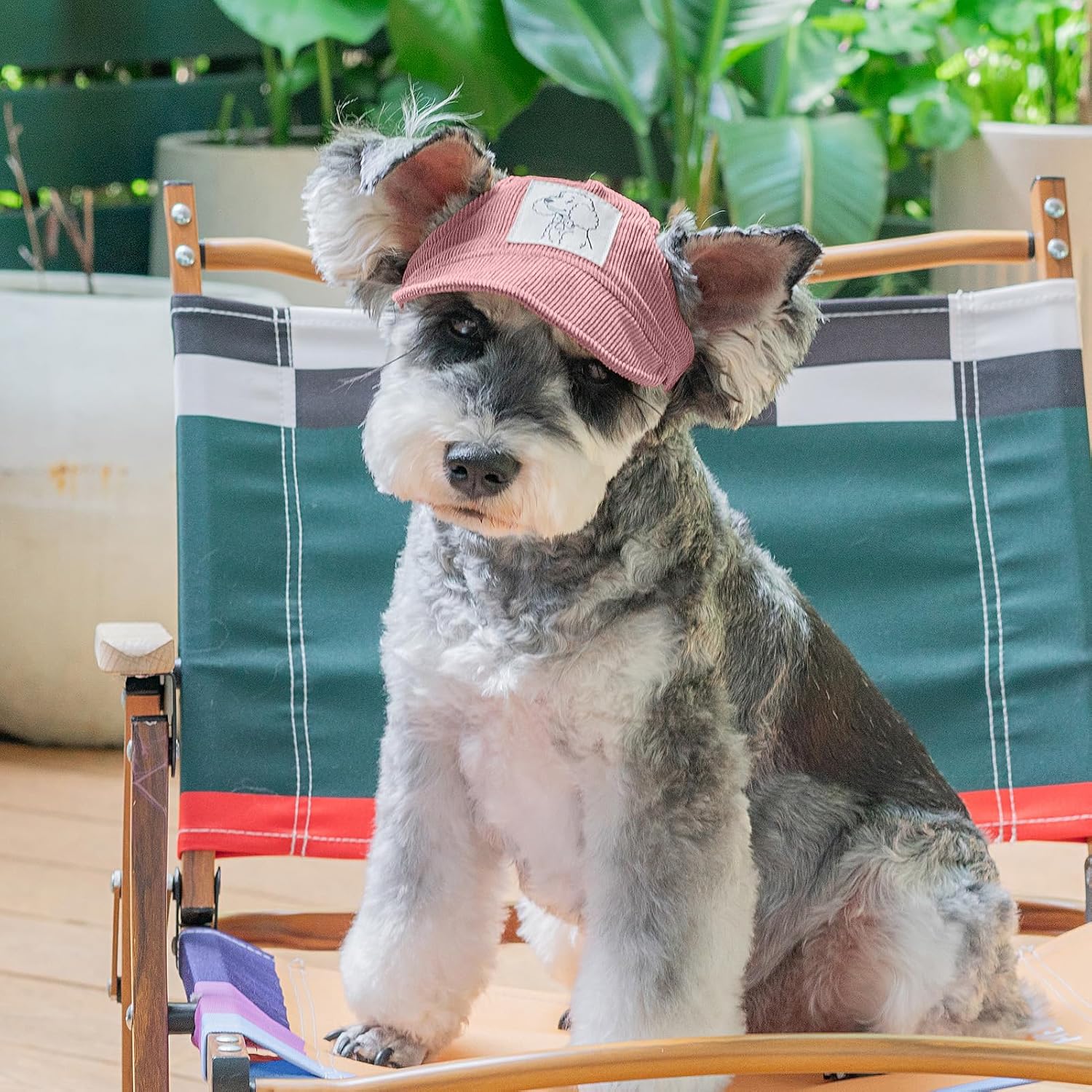 Pet Dog Baseball Cap, Cat Hat, Cat Dog Sun Cap with Ear Holes, Adjustable Puppy Outdoor Sun Hat (Pink, X-Small)
