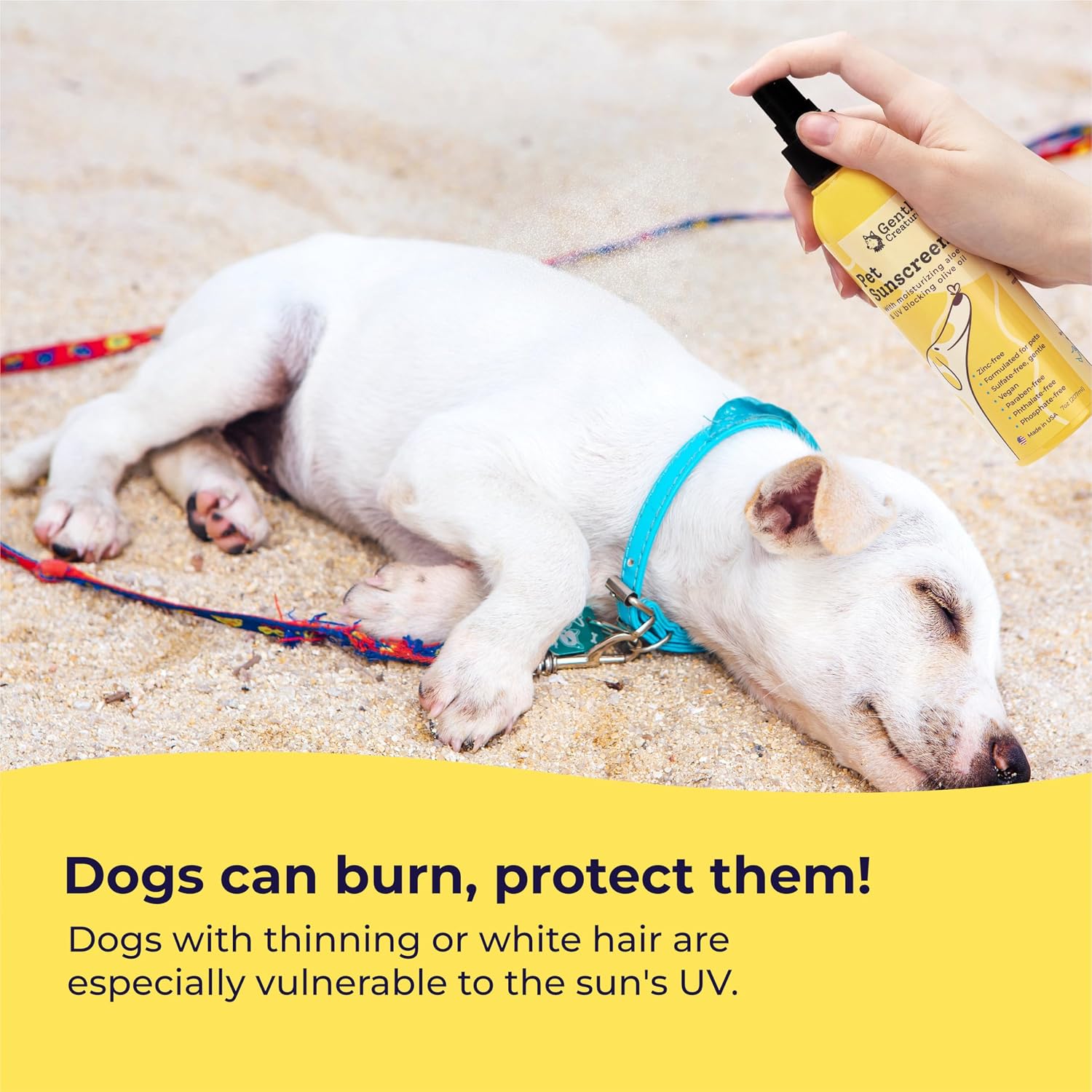 Gentle Creatures Dog Sunscreen SPF 30, No Zinc Oxide, Safe for Dogs & Cats