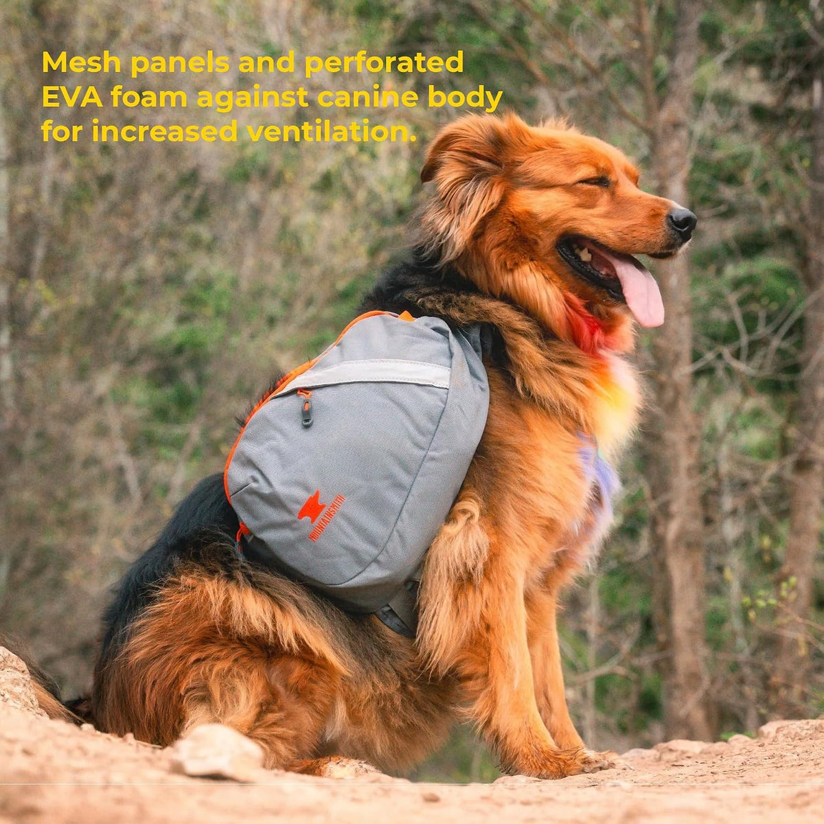 Mountainsmith K9 Dog Pack - Caribe Blue - Small