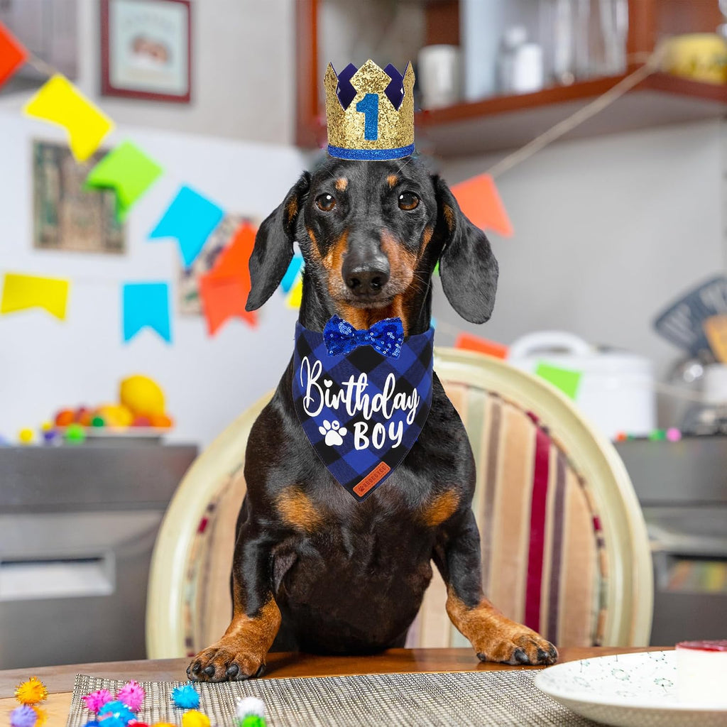 ADOGGYGO Dog Birthday Hat, Blue Plaid Birthday Dog Bandana Set, Small