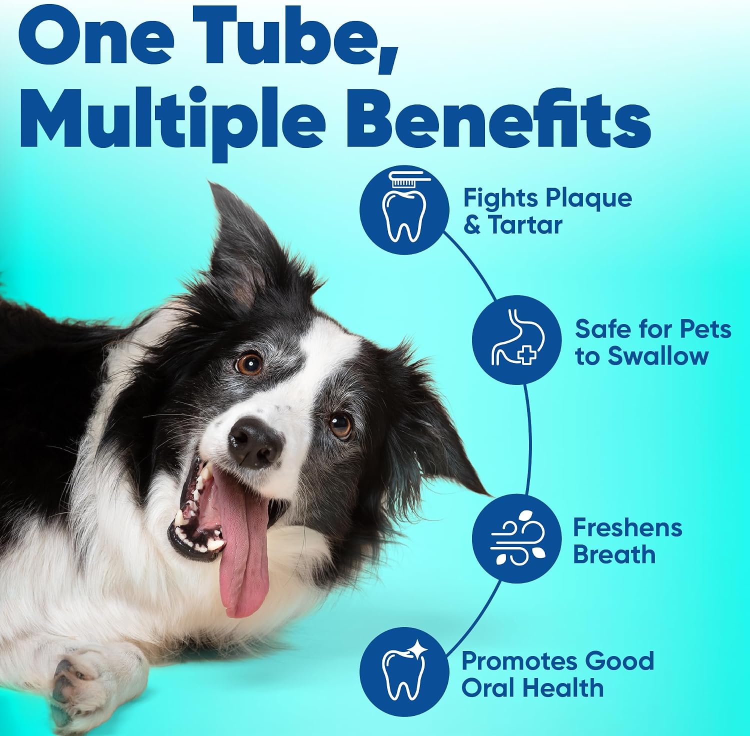 C.E.T. Enzymatic Toothpaste for Dogs and Cats, Poultry, 2.5oz
