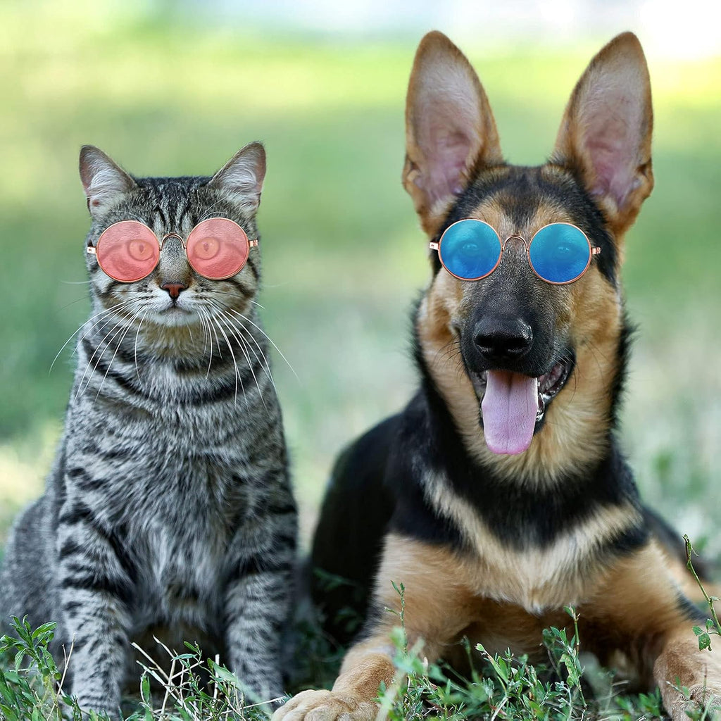 Weewooday 15 Pcs Dog Sunglasses Cat Glasses Round Retro Small for Pet Puppy
