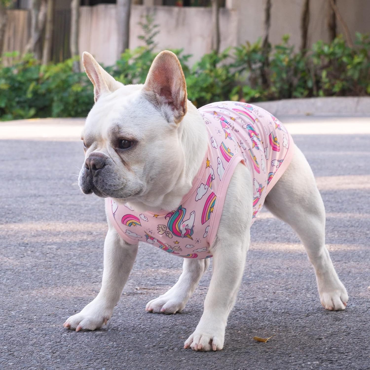 CuteBone Dog Shirts 2-Pack Soft Pet Clothes Breathable Summer Vest for Small Puppy and Stretchy Cat Apparel
