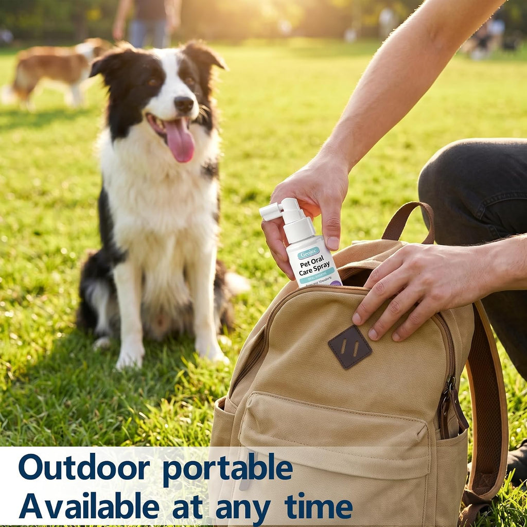 Pet Oral Care Spray, Dog Dental Spray for Dog Teeth Cleaning, Natural Dog Breath Freshener, Daily Dog Dental Care & Cat Dental Care Solution,No Brush Required Pet Mouth Freshener Spray for Dogs & Cats