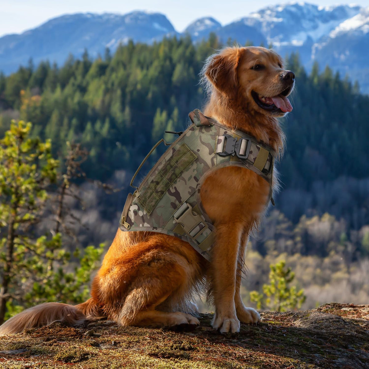 Tactical Dog Backpack Harness for Large Breed Original Design Metal Buckle Vest with Side Bags Pouches for Service Working Training (Khaki (with 2 Pouches), L)