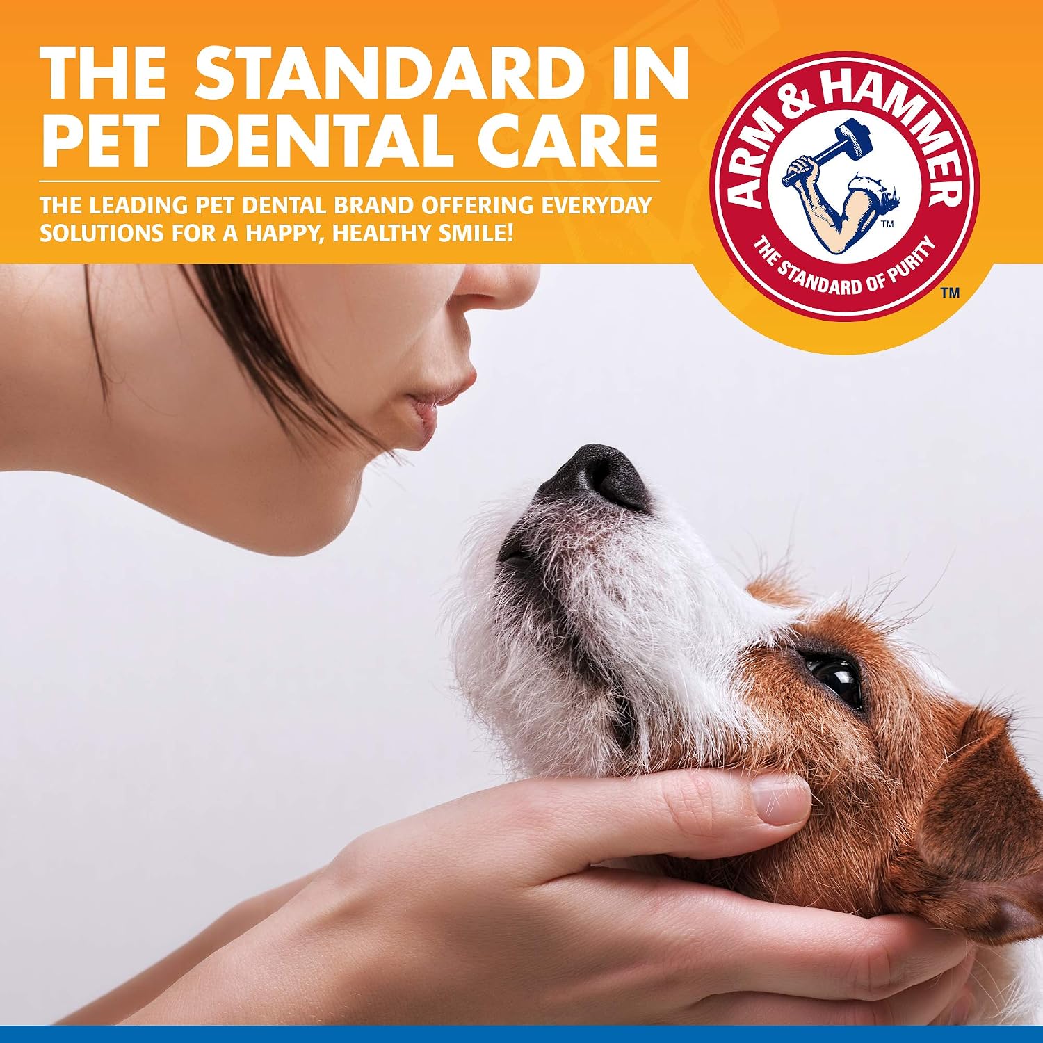 Arm & Hammer Clinical Care Dental Rinse for Dogs, 16 Fl Oz