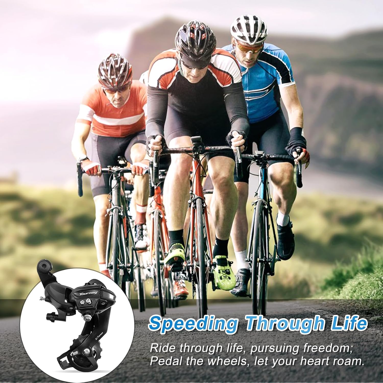 Tourney Rear Derailleur RD-TY300 6/7 Speed Derailleur Direct Mount
