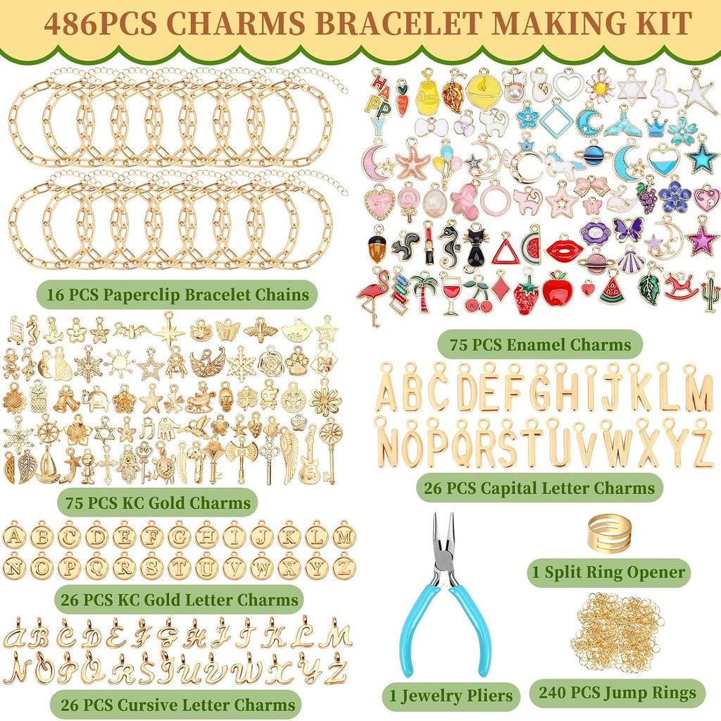 SANNIX 486Pcs Charm Bracelet Making Kit, Including 16 Bangles 228 Charms