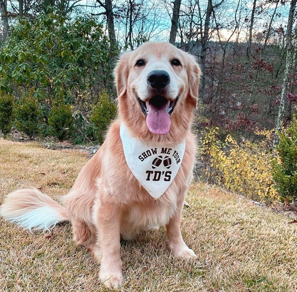 Show Me Your TD's Dog Bandana | 100% Cotton Adjustable Triangle | Made in USA | Football | Sports | Biggest Fan | Game Day | Natural, One Size (858)