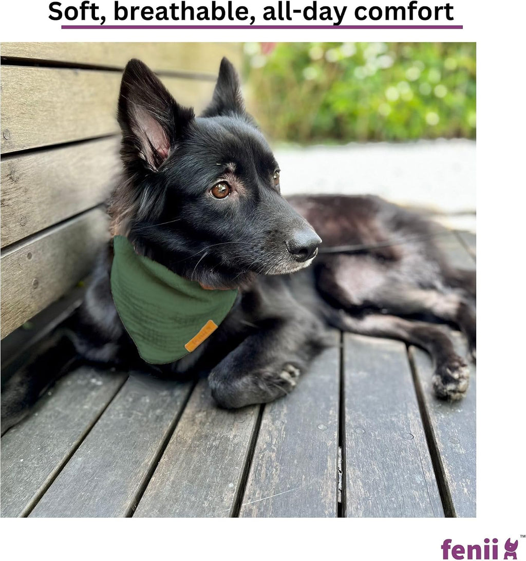 Premium Cotton Dog Bandanas - 2 Pack - Adjustable Fit - Washable - for Small, Medium & Large Breeds - Girl & Boy Dog Accessories - Multiple Sizes (Forest Green & Seafoam Green, Large)
