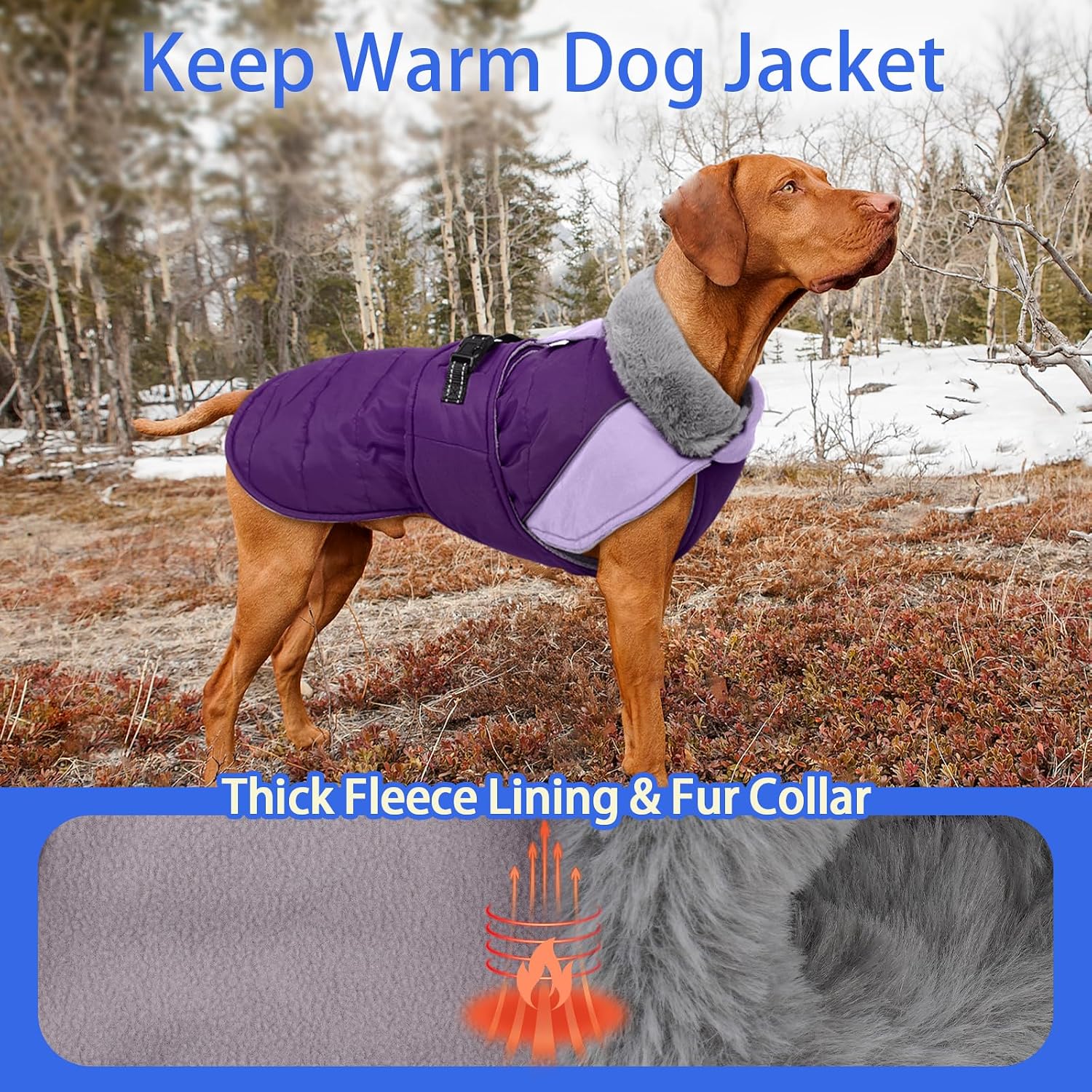 MIGOHI Cozy Small Dog Coat - Reflective Dog Coat for Small Dogs,Fleece Winter Coats Jacket for Dogs with Leash Hole,Snowproof Thick Puppy Clothes,Pomeranian,Chihuahua,XS,Purple