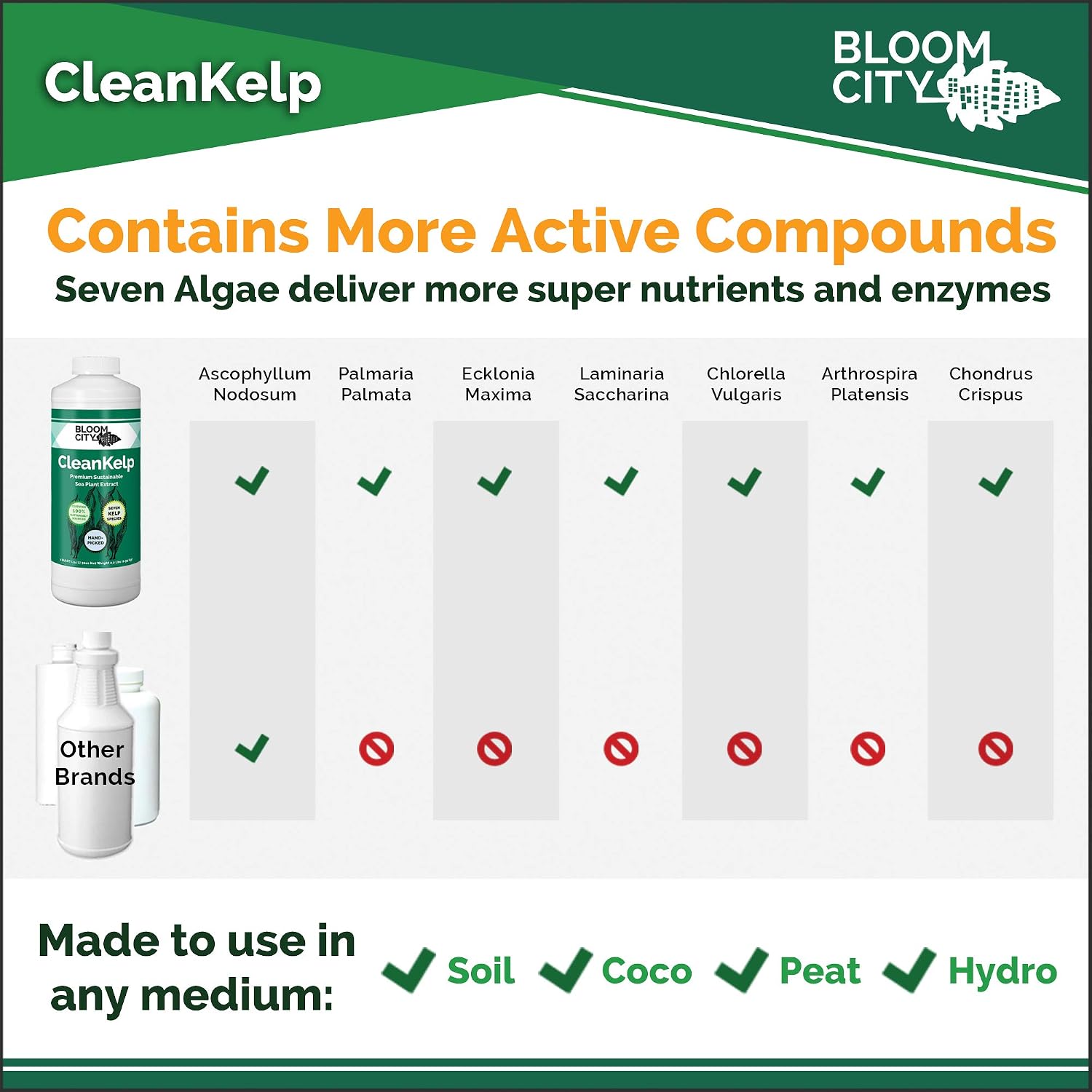 Bloom City Seaweed and Kelp Liquid Fertilizer for Plants, 32 oz