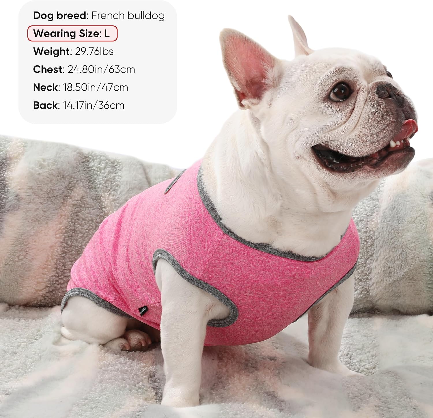 3 Pack Lightweight Sun Protection Dog Shirt Breathable Sleeveless Dog T Shirts Extra Soft Top Tank Dog Clothes for Outdoor Activities (Purple + Skin Pink + Light Pink, Medium)