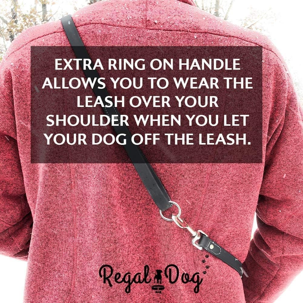 Regal Dog Products Waterproof Dog Collar, Nickel, Small Yellow & Leash