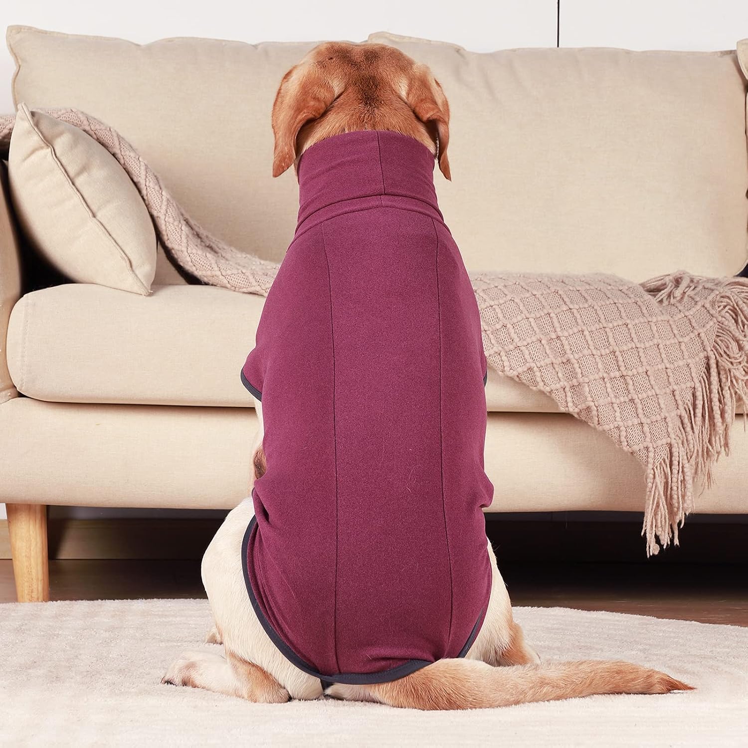 ROZKITCH Dog Sweater S, Warm Turtleneck Shirt for Medium Dogs