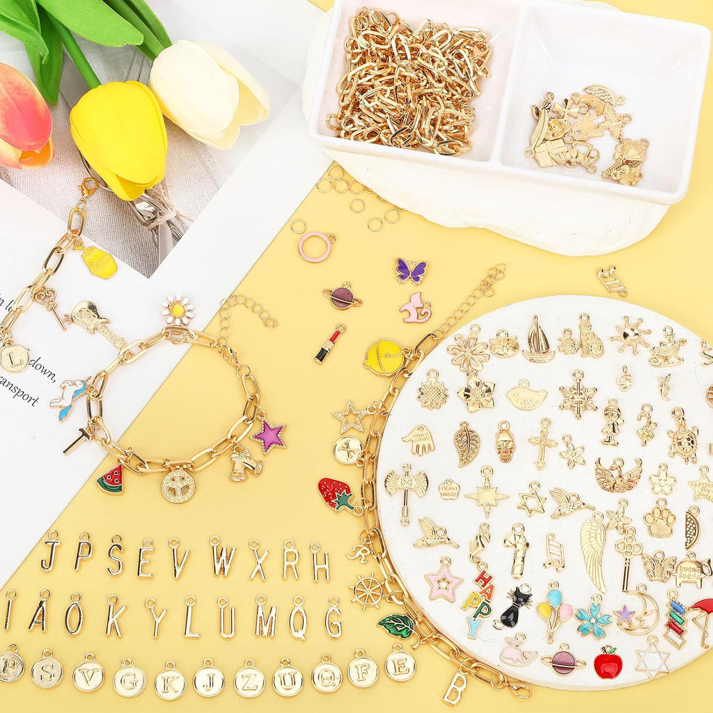 SANNIX 486Pcs Charm Bracelet Making Kit, Including 16 Bangles 228 Charms