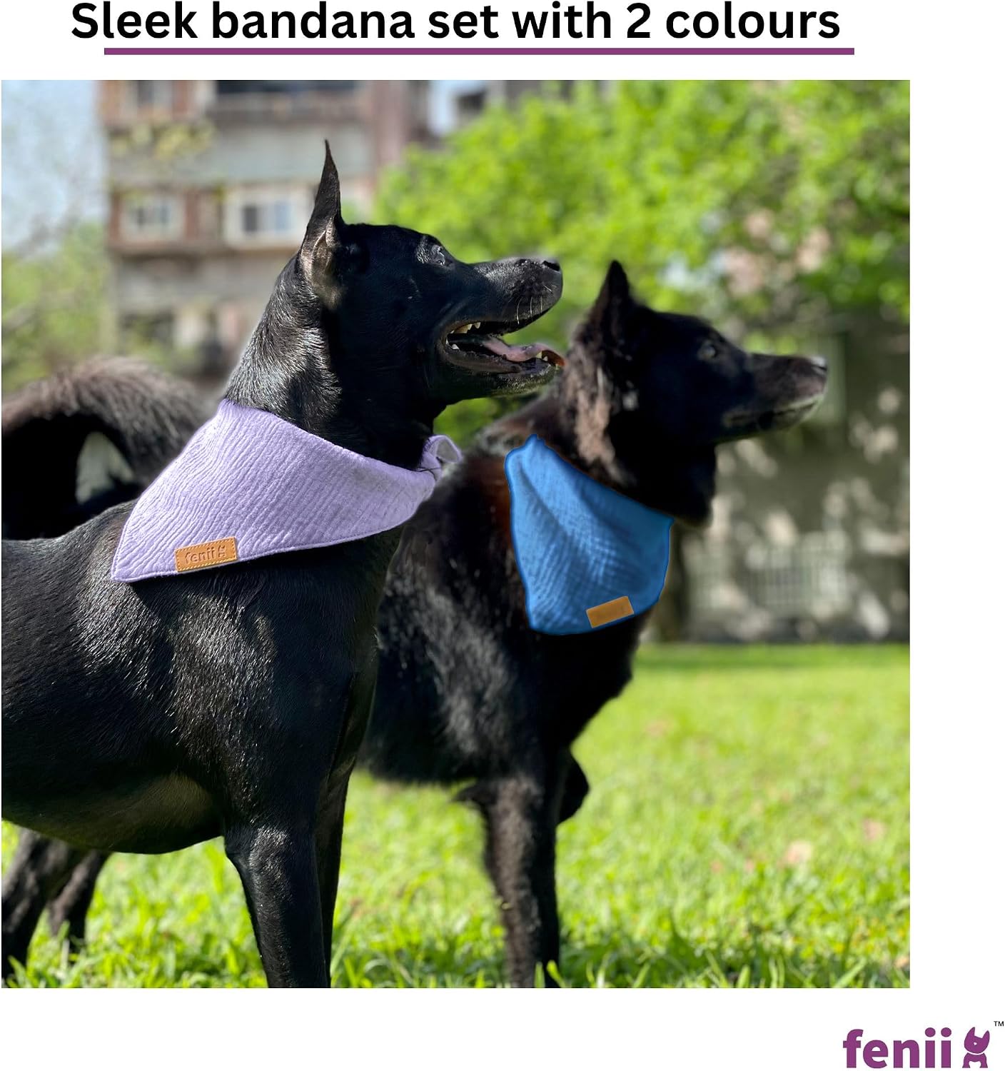 Premium Cotton Dog Bandanas - 2 Pack - Adjustable Fit - Washable - for Small, Medium & Large Breeds - Girl & Boy Dog Accessories - Multiple Sizes (Ocean Blue & Lavender Mist, Small)